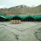 Pangong Delight Camps and Cottages