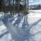 Alpen Chalet Eben