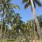 Playa Pikua Ecolodge - Guachaca