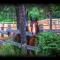 Foto: Le Black Bear- Les Chalets Spa Canada 6/92