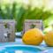 Can Pina - Eco Arco -