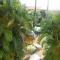 Entre Mer et Verdure