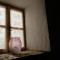 Linos Traditional Cottage