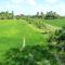 Villa Nickerie/ Suriname