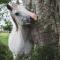 Oribi Gorge Guest Farm