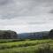 Oribi Gorge Guest Farm - Glendale