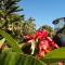 Cape Oasis Guesthouse