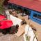 Hotel Festival Plaza Playas Rosarito