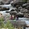 Tirthan Anglers Retreat