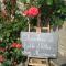Chez Marraine photo 14