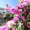 Apartments Lavanda - free parking and grill