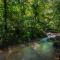 Rest Pause Rainforest Retreat