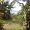 Mirella Villa Holiday Apartment