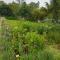 Avoca River Cabins - Addo
