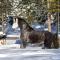 Le Ti Moose - Les Chalets Spa Canada - La Malbaie