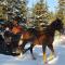 Foto: Le Ti Moose - Les Chalets Spa Canada 39/45