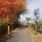 1-Bedroom Cozy Suite #26 by Amazing Property Rentals
