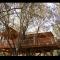 Cabane dAmour