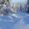 Lapland Snow Cabin - Masugnsbyn