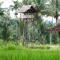 Banyu Homestay