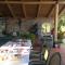 B&B Macchia dOlmo