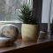 Apartamenty Hejszowina