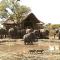 South Okavango - Omogolo Hideaways - Rammu