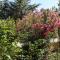 Nireas Resort Corfu