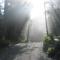 Reef Point Oceanfront Bed and Breakfast - Ucluelet