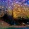 Saint Nicholas heights