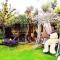Borabora B&B