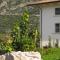 B&B Macchia dOlmo