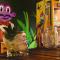 Purple Monkey Hostel