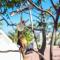 Contaratos Holiday Lettings