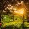 Tropical Coast Retreat - Pet Friendly - Adult only