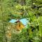 Namo Samsah Jungle Paradise - Riverside Nature Bungalow - 武吉拉旺