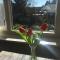 B & B Villa Suisse