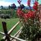Luquina homestay
