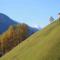 Pfurtschell - Neustift im Stubaital