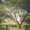 Grincourt B&B- with No Load shedding - Polokwane