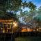 Pezulu Tree House Lodge