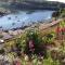 Silver Birch Guesthouse - Looe