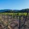 Quinta Estrella - Valle de Guadalupe