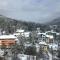 Sinaia view