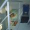 Palermo Viejo Bed & Breakfast