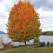 Breathtaking New Premier Lake Champlain Waterfront Escape! - Addison