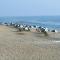 Outer Banks Beach Club II Resorts