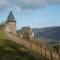 Schau-Rhein#1 - On top of Bacharach, Rhineview