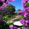 Apartements Delfin Vir