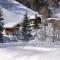 Alpenstern